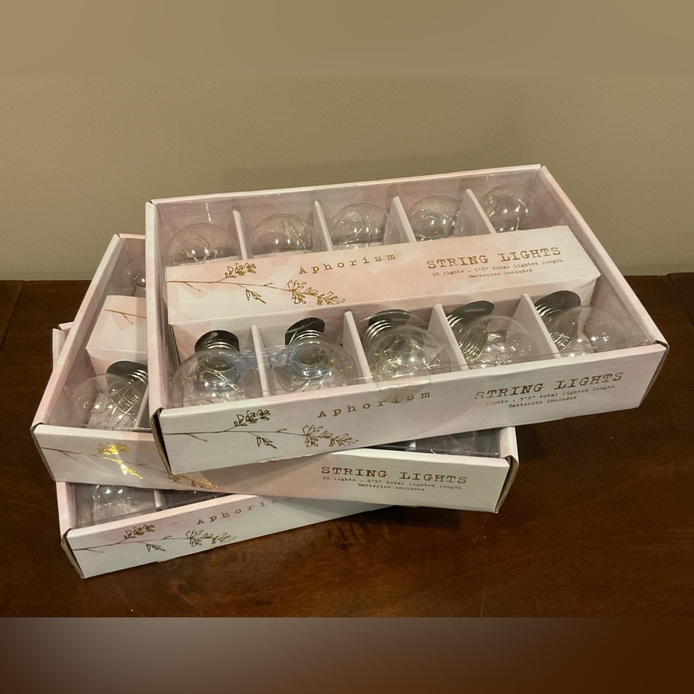 NWT String Lights - 10 Lights